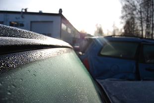 car, Volvo, Sun, closeup