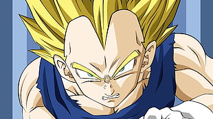 Dragon Ball Z Vegetta digital wallpaper, Dragon Ball Z, Vegeta HD wallpaper