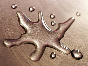 closeup photo of a water droplets HD wallpaper