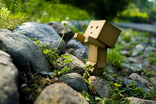 Danbo beside rock digital wallpaper, flowers, stones, Danbo