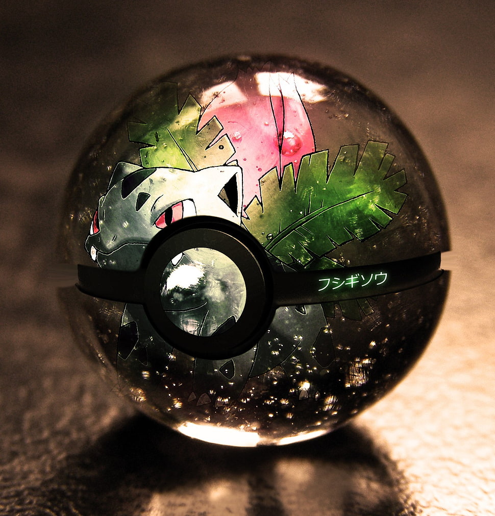 Closeup photo of Pokemon glass ball HD wallpaper | Wallpaper Flare