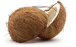 brown coconut