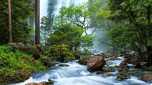 river, landscape, nature, trees, water