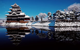 brown house and snow covered trees, building, Matsumoto Castle, Nagano, Japan HD wallpaper