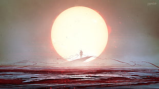 silhouette of person, Sun, anime, Kuldar Leement HD wallpaper