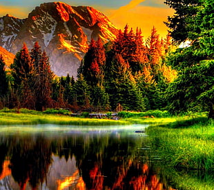 body of water wallpaper, nature