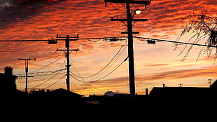 silhouette of electric posts