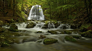 painting of waterfalls, water, rock, nature, forest