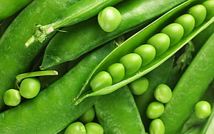 green peas vegetables HD wallpaper