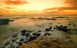 ocean wave during sunset HD wallpaper
