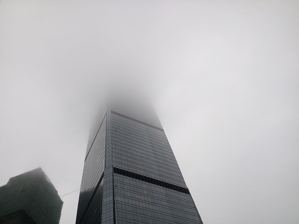low angle photo of building covered with fog HD wallpaper