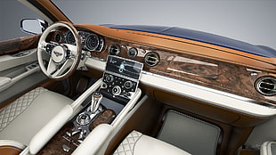 brown and white car steering wheel, Bentley XP9, car HD wallpaper