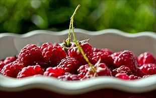 berry fruit lot