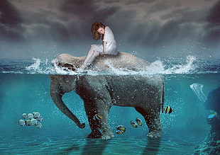 woman on elephant digital wallpaper