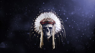 skull with feather headdress wallpaper, feathers, skull, Native American clothing, headband HD wallpaper