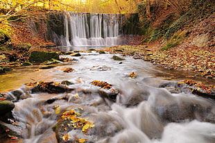 time lapse photography of water falls surrounded by trees HD wallpaper