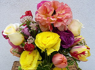 yellow, purple, and white roses with white-and-red Tulips bouquet