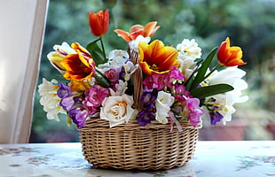 orange, white, purple, and pink flowers in brown wicker basket HD wallpaper