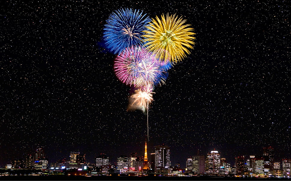 two red and blue flower decors, fireworks, cityscape, stars, night HD wallpaper