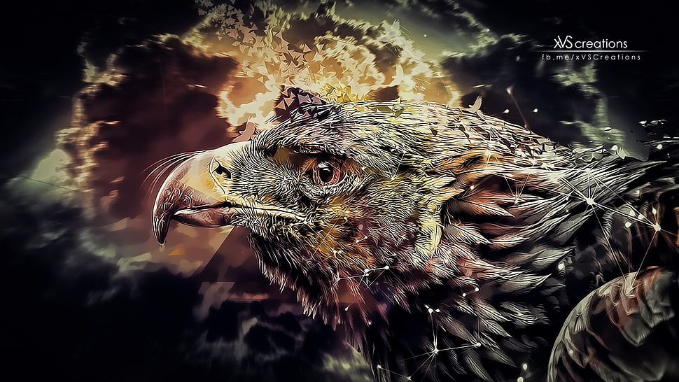 illustration of eagle, eagle, digital art, abstract, birds HD wallpaper