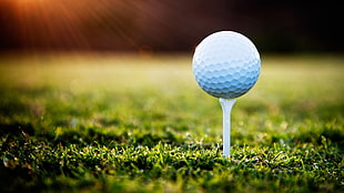 white and blue table lamp, macro, golf