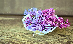 purple petaled flowers on ceramic bowl HD wallpaper