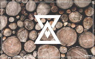brown corkwood, wood, logo HD wallpaper