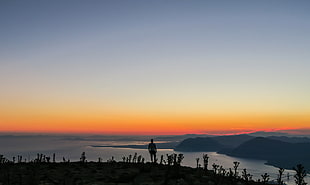 mountain and body of water, nature, water