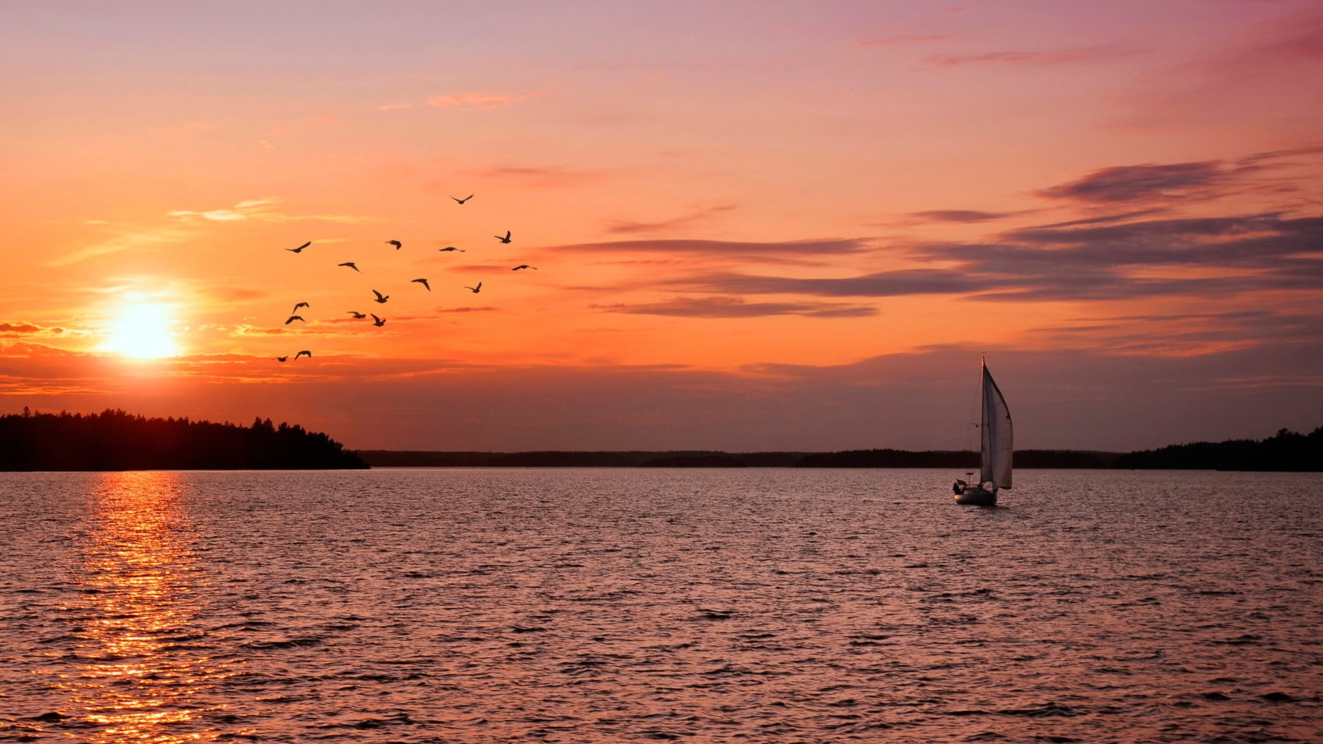 photography of white sailing boat in body of water during sunset