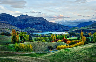 green covered mountains under gray cloud yskies