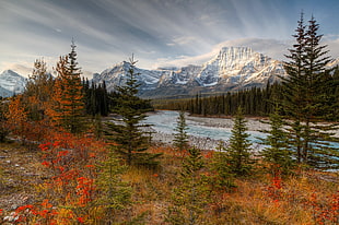 green trees, nature, landscape, mountains, river