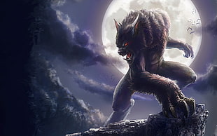 werewolf wallpaper, werewolves HD wallpaper