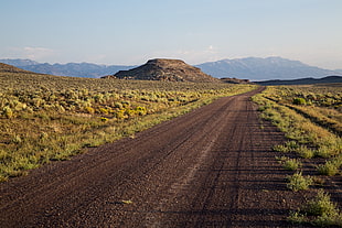 green grass between brown sand road