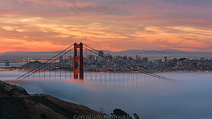 Golden Gate Bridge covered with fog HD wallpaper
