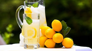 lime fruit near clear glass pitcher with highball glass