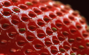 Strawberry,  Berry,  Surface,  Shadow