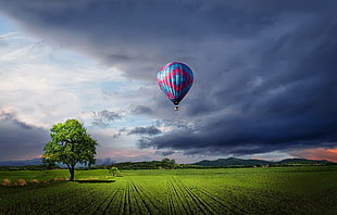 hot air balloon flying over green grass field HD wallpaper