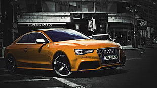 orange Audi coupe, selective coloring, car, Audi, vehicle HD wallpaper