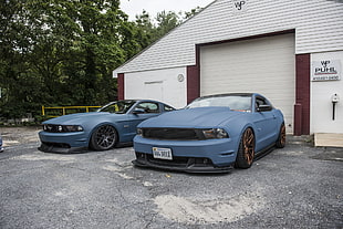 two blue Ford Mustangs parked in front of shutter gate HD wallpaper
