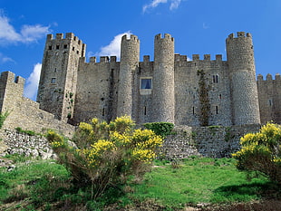 gray bricked wall castle under blue sky near green trees