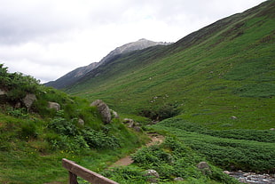 green grass field, landscape, nature, stones, mountains