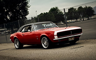 red muscle car, car, Chevrolet Camaro, Chevy HD wallpaper