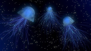 jellyfish digital artwork HD wallpaper