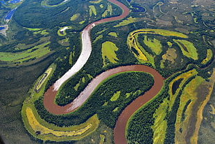 top view of green fields, alaska HD wallpaper