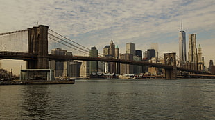 brown and white concrete building, city, bridge, Brooklyn Bridge, New York City