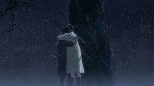 anime wallpaper, anime, 5 Centimeters Per Second HD wallpaper