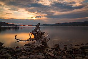 brown tree log on body of water beside assorted rocks near mountains under white cloudy sky HD wallpaper