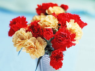 red and yellow flowers in white vase