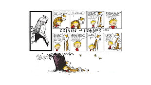 Calvin and Hobbes comic series HD wallpaper