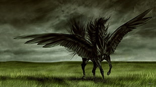 black pegasus, fantasy art HD wallpaper